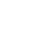 Logo de la société ProjOctopus